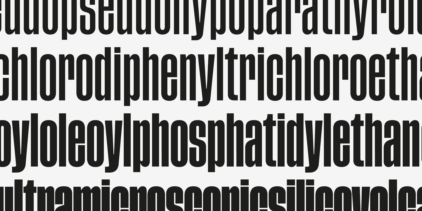 Przykład czcionki Tusker Grotesk 2700 Bold